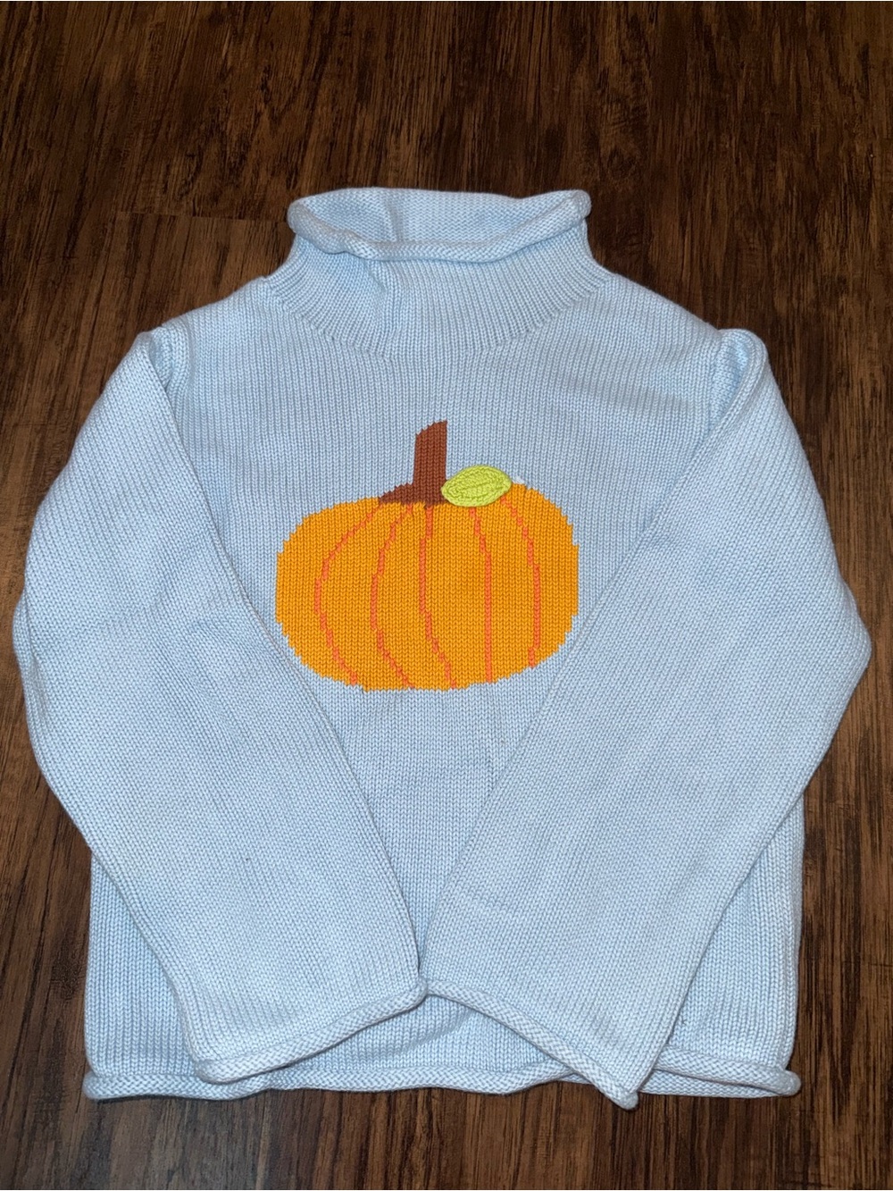 Girls Mud Pie Light Blue Turtleneck Sweater with Pumpkin Motif